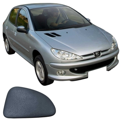 Tampa Lateral Esquerda Painel Peugeot 206 1.4 4P 9624270877