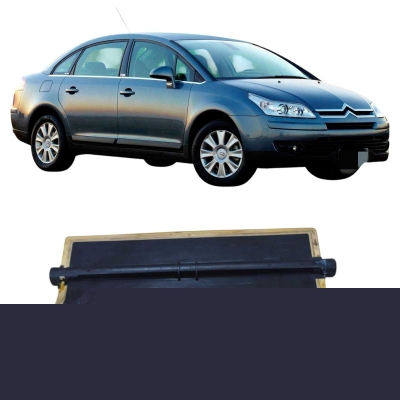 Palheta Caixa Evaporadora Citroën C4 2009 2.0 Original