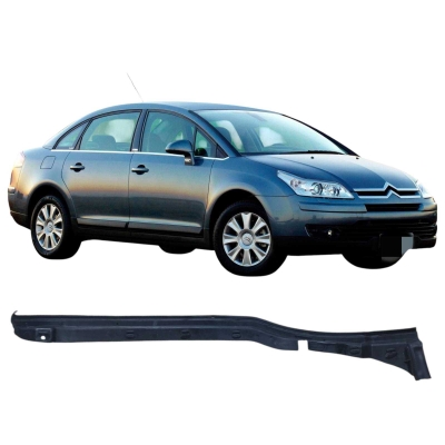 Moldura Porta Dianteira Esquerda Citroen C4 2009 96472514