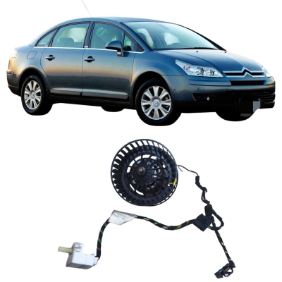 Motor Ar Forçado Traseiro C4 Pallas 2008 18092060 Original
