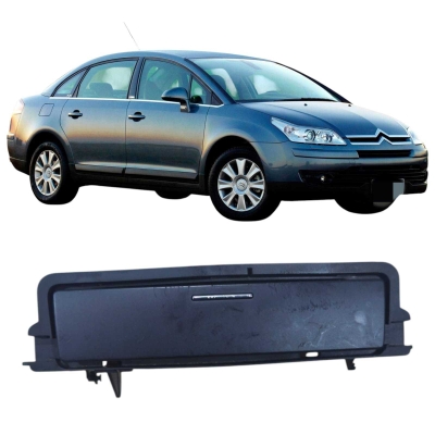 Moldura Porta Objetos Painel Citroen C4 2.0 2008 Original 