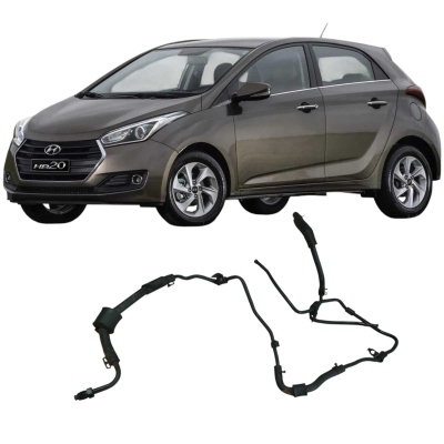 Mangueira Direçao Hidraulica Hyundai Hb20 2016 1.0 Original