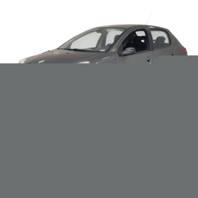 Para-Lama Dianteiro Esquerdo Peugeot 207 2009 1.4 Original