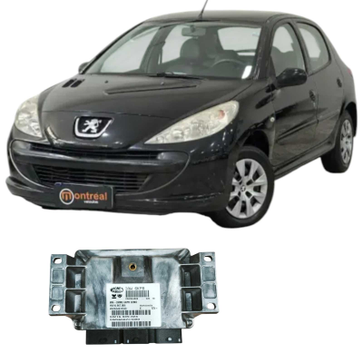 Modulo Injeção Peugeot 207 2.0 2002 Original Sw16989024