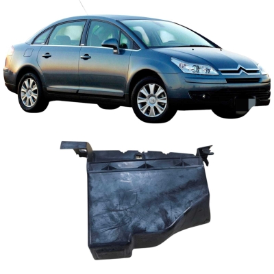 Porta Luvas Citroen C4 2.0 2009 2010 9681871 Origina