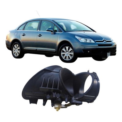 Duto Caixa Ar Citroen C4 2.0 2009 2010 968719